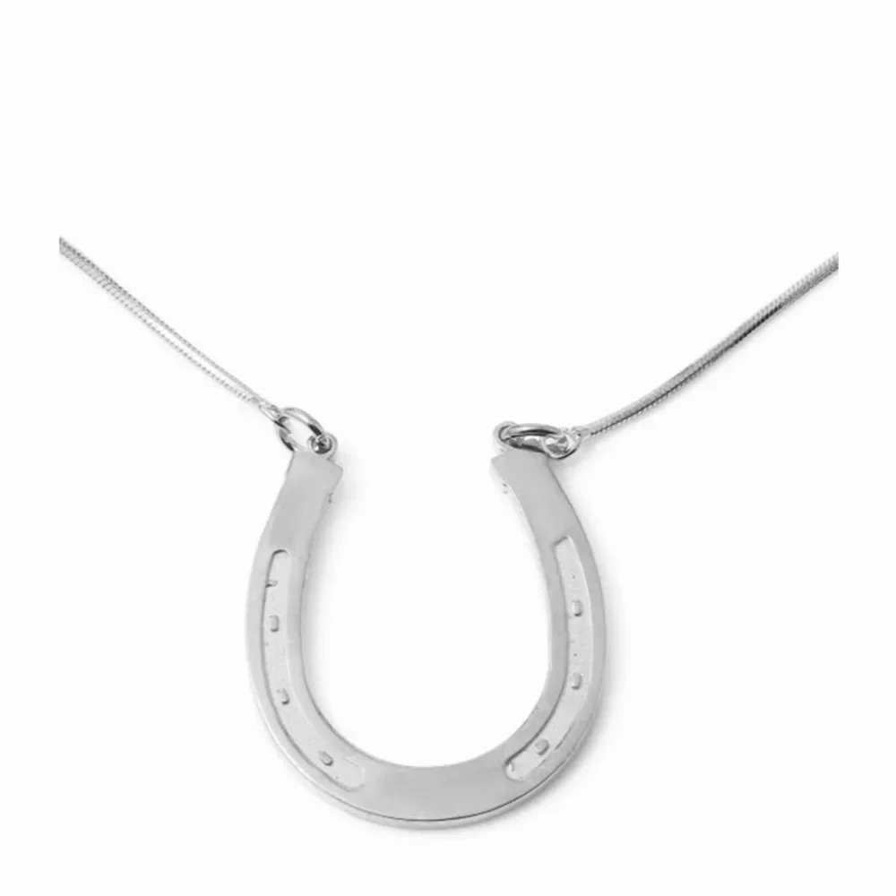WTC- Horseshoe Necklace - Picture 4 of 7